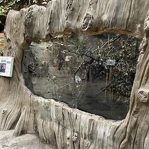 Elephants of the Asian Forest - North Luzon giant cloud rat exhibit 221022