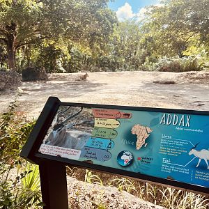 Addax Exhibit