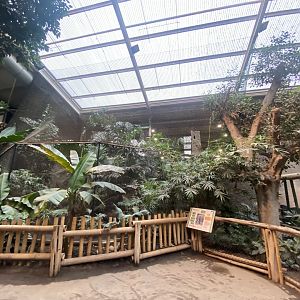 Elephants of the Asian Forest - Great hornbill aviary 221022