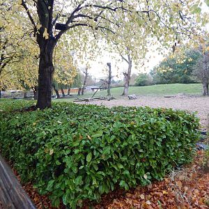 Indian rhinoceros and Myanmar thamin enclosure 221022