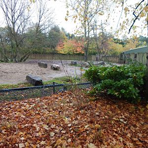 Indian rhinoceros and Myanmar thamin enclosure 221022