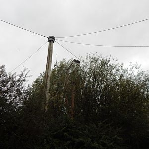 Tsavo National Bird Park Safari aviary 221022