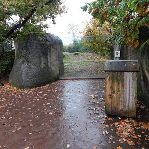 African wild dog enclosure 221022