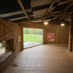 African wild dog enclosure 221022