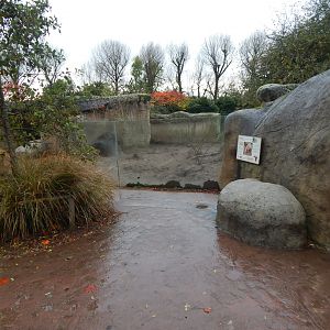 Aardvark enclosure 221022