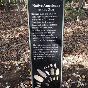 Native Americans at the Zoo