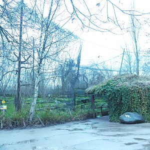 Snow leopard exhibit and viewing hut, 2022-01-02