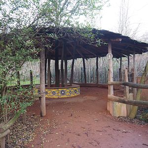 Emu, Kangaroo and Wallaby viewing area, 2022-01-02