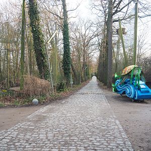 Access road to main animal services area between European and African sections, 2022-01-02