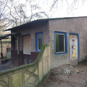 Cape porcupine barn, 2022-01-02