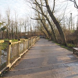 Walkway with viewing of giraffe savanna paddock, 2022-01-02