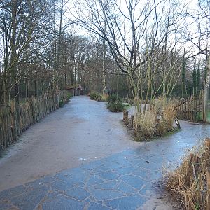 Walkways with antelope and spotted hyena viewing areas, 2022-01-02