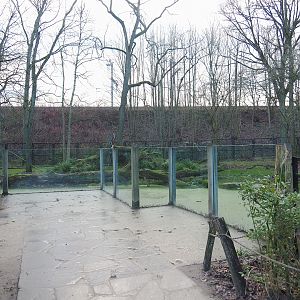 Spotted hyena viewing area, 2022-01-02