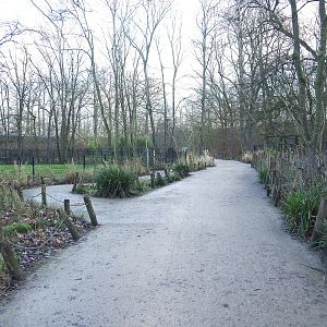 Walkways with antelope and spotted hyena viewing areas, 2022-01-02