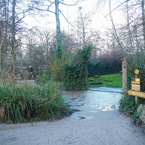 Walkway with Sudan cheetah viewing areas, 2022-01-02