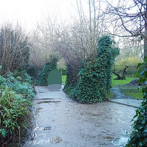 Walkway with Sudan cheetah viewing areas, 2022-01-02