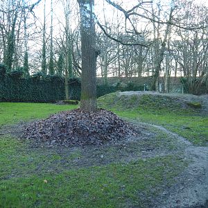 Sudan cheetah exhibit, 2022-01-02