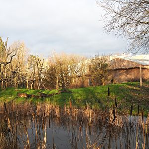 Bonobo island, 2022-01-02