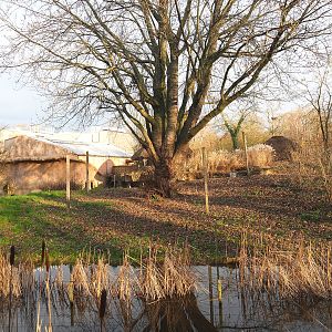 Bonobo island, 2022-01-02