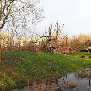 Bonobo island, 2022-01-02