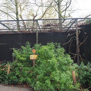 Guira cuckoo and Blue-headed macaw aviary, 2022-01-02