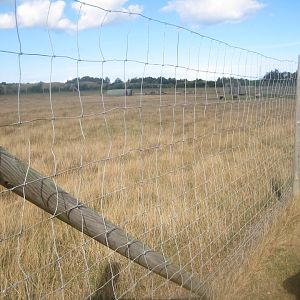 Fun-Park - Sheep exhibit #1