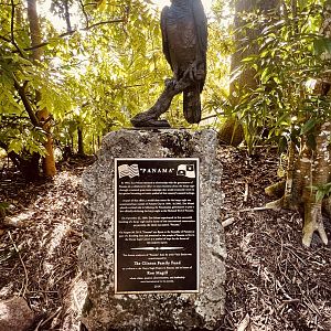 Harpy Eagle Memorial