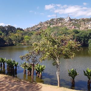 The big lake in the centre of the zoo with a lot of heron(spiece)s