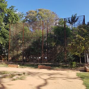The two biggest cages for lemurs. These are really nice, especially compared to the really small cages behind the vivarium building