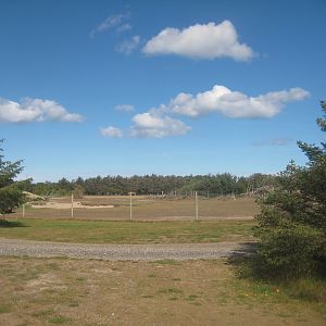 Fun-Park - Red deer exhibit