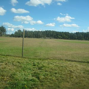 Fun-Park - Red deer exhibit