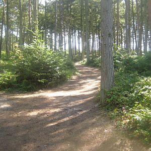 Fun-Park - General view