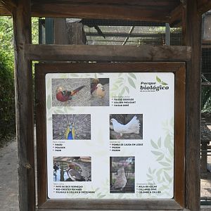 Misc. Birds exhibit