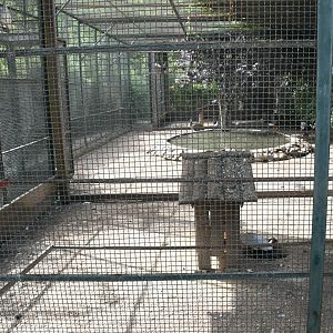 Misc. Birds exhibit
