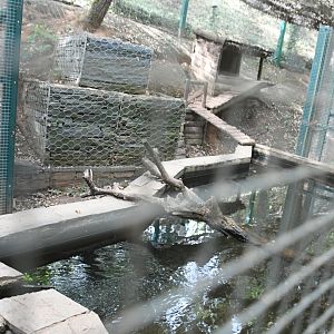 Otter enclosure