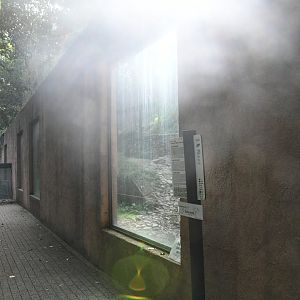 Brown Bears exhibit (viewing windows)