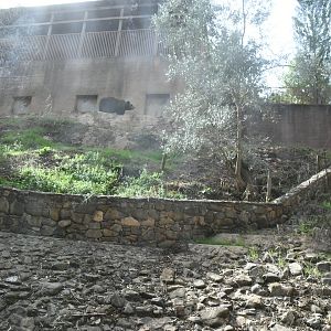 Brown Bears exhibit (view from the viewing windows at the bottom of the enclosure)