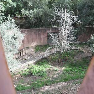 Brown Bears exhibit (view through the railings at the top of the enclosure)