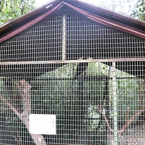 Snake-Eagle cage