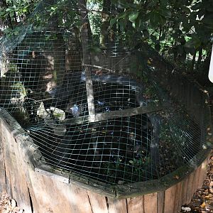 Turtles exhibit