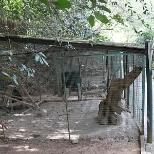 Small Mammal enclosures