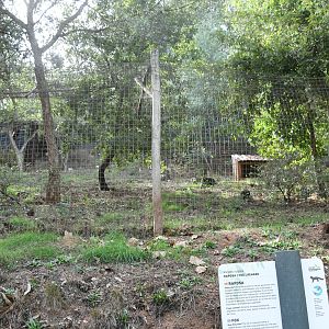 Red Fox exhibit (not seen)