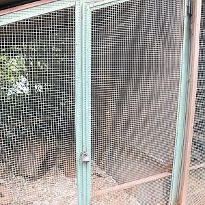 Domestic Ferret cage