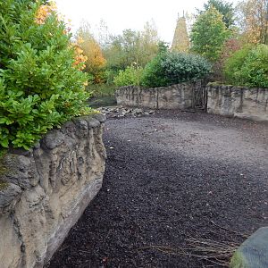 Islands - Visayan warty pig enclosure 221022