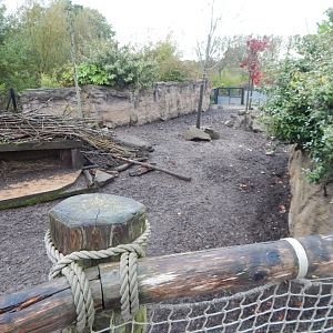 Islands - Visayan warty pig enclosure 221022
