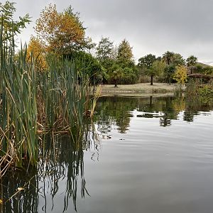 Islands - View from boat 221022