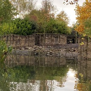 Islands - View from boat - Warty pig enclosure 221022
