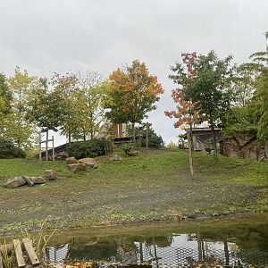 Islands - View from boat - Lowland anoa enclosure 221022