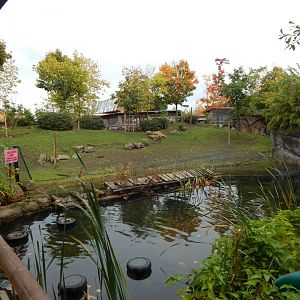 Islands - Lowland anoa enclosure  221022