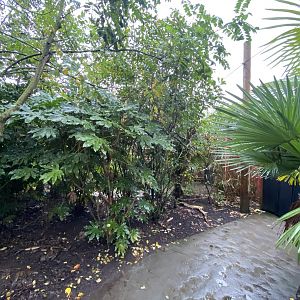 Islands smaller aviary 221022